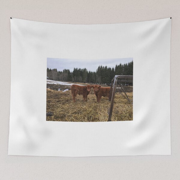 Item preview, Scottish Highland Cattle Calves 1746 designed and sold by SaarelaHighland.