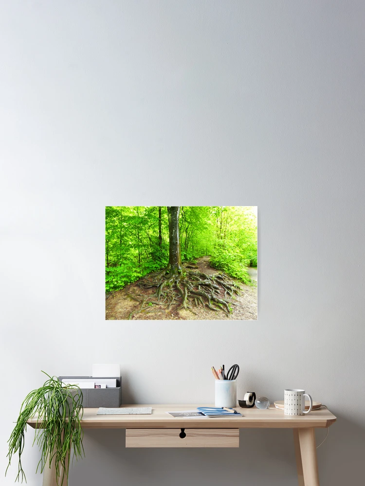 Thumbnail 2 of 3, Poster, Beautiful Roots designed and sold by Vaengi.