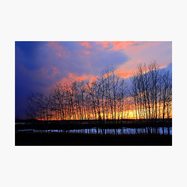 Item preview, Sunset designed and sold by whisperjo.
