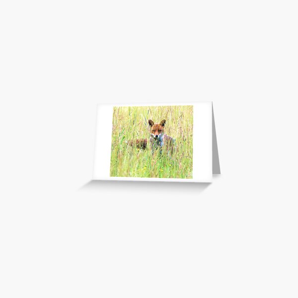 Item preview, this is MY field designed and sold by Alan Mattison.