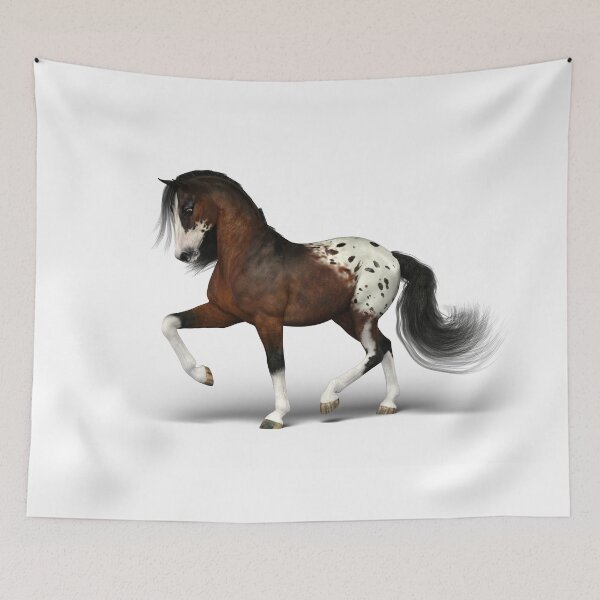 Item preview, Bay Appaloosa Horse designed and sold by Rae134.