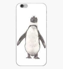 Penguin - Spheniscus Demersus iPhone Case