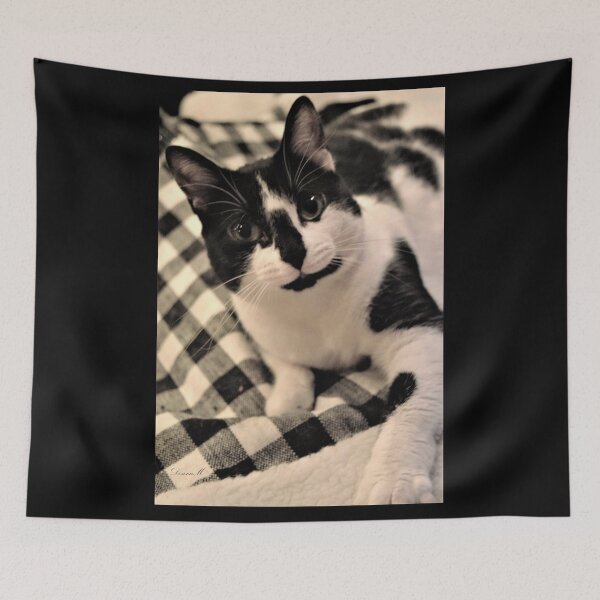 Item preview, Black and White Beauty designed and sold by DonnaM.