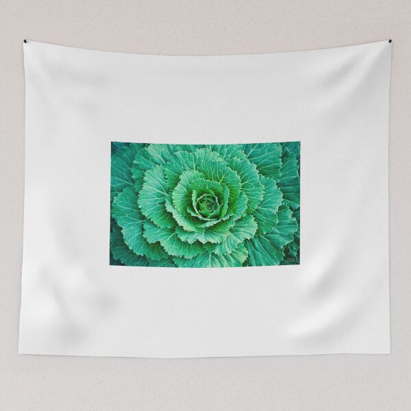 Item preview, Cabbage Leaves designed and sold by Diego Re.