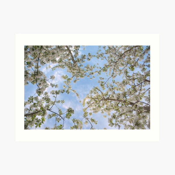 Daydreaming Art Print