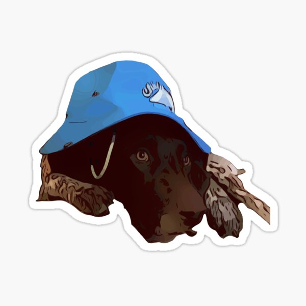 German Shorthaired Pointer Wearing A Cool Blue Hat Sticker