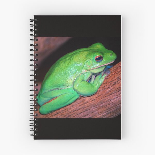 Item preview, Tree Frog designed and sold by BuffaloBob.