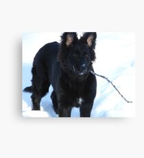 Lieben Lassie Canvas Print