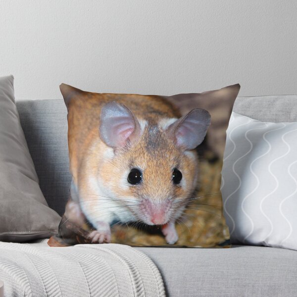 Item preview, Curious Hamster designed and sold by BuffaloBob.