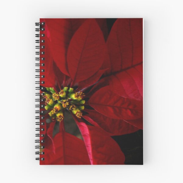 Artikelvorschau, Red Poinsettia entworfen und verkauft von Colleen Drew.