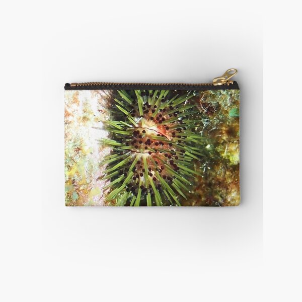 Item preview, Jewell Sea Urchin designed and sold by Amy McDaniel.