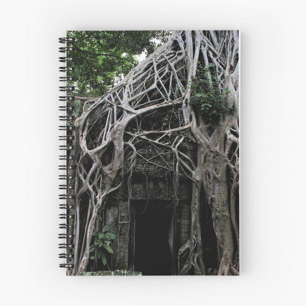 Item preview, Ta Prohm Temple Door - Angkor, Cambodia. designed and sold by Tiffany Lenoir.