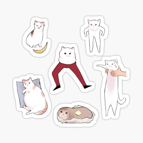 CAT MEMES / MEME CATS Sticker