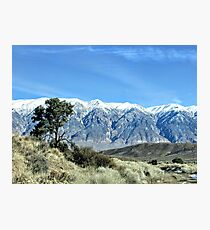 Alone Photographic Print