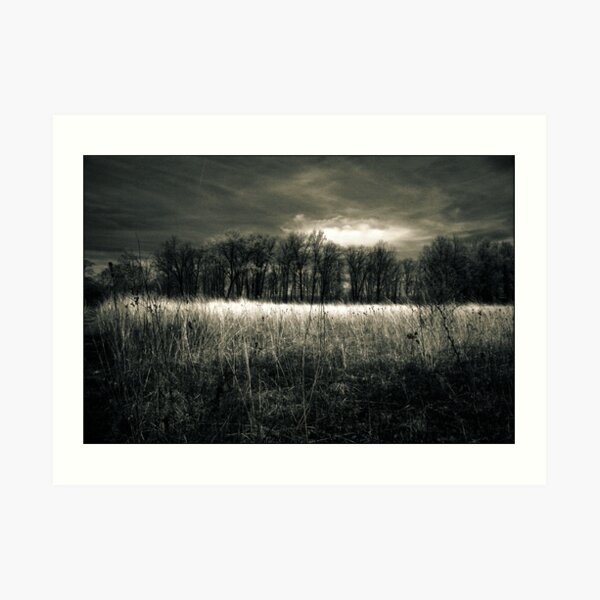 Afternoon on the prairie Kitty Todd Nature Preserve Art Print