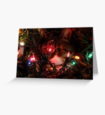 Holiday Hiding Greeting Card