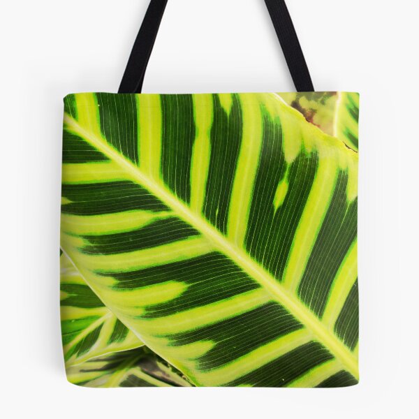 Item preview, Hoja designed and sold by Thaddeus Zajdowicz.