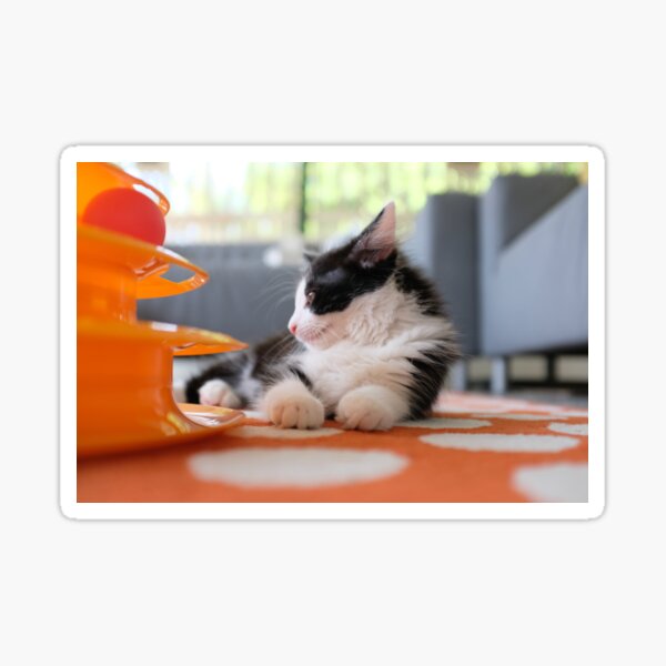 Waiting for the weekend Sticker