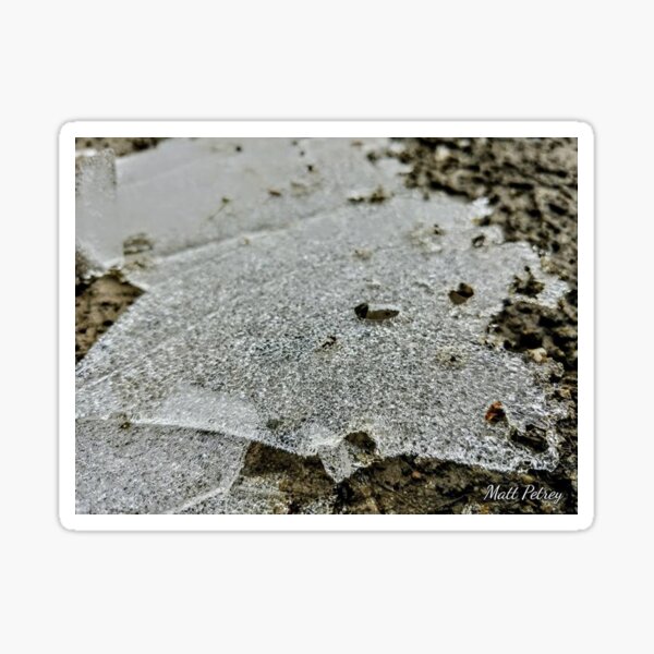 ice leaf Sticker