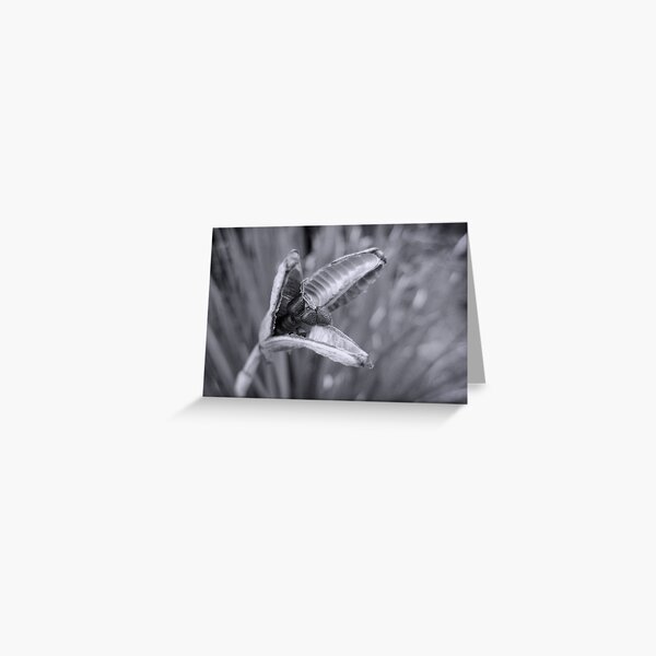 Day is Ending Greeting Card