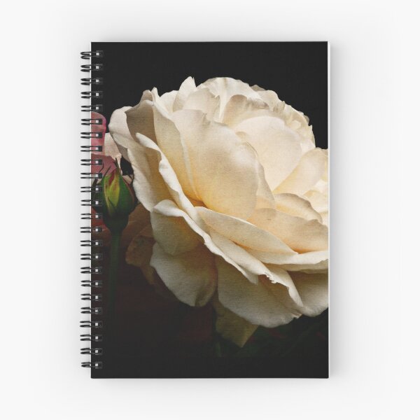 Item preview, simply stunning designed and sold by Clare Colins.