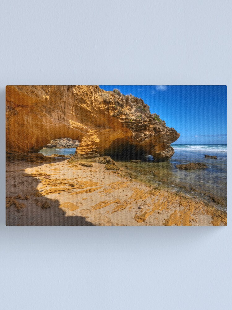 Alternate view of Dinosaur Claws Canvas Print