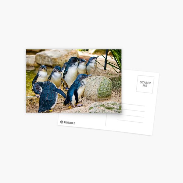 Item preview, Flock of fairy penguins designed and sold by Andi Surjanto.