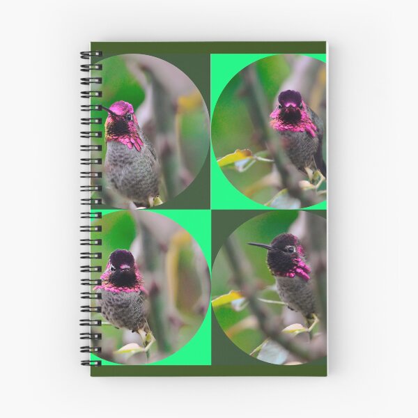 Aperçu de l'œuvre Collage Colibri créée et vendue par Tdcc2000.