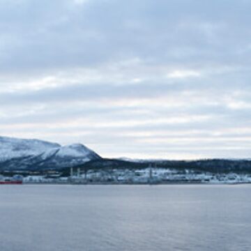 Artwork thumbnail, Norwegian vista near Trondheim by David Burren
