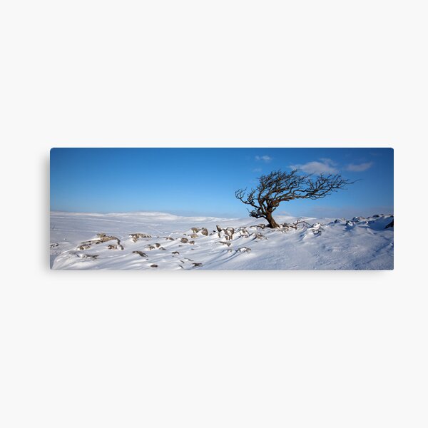 A Yorkshire Winter Wilderness Canvas Print