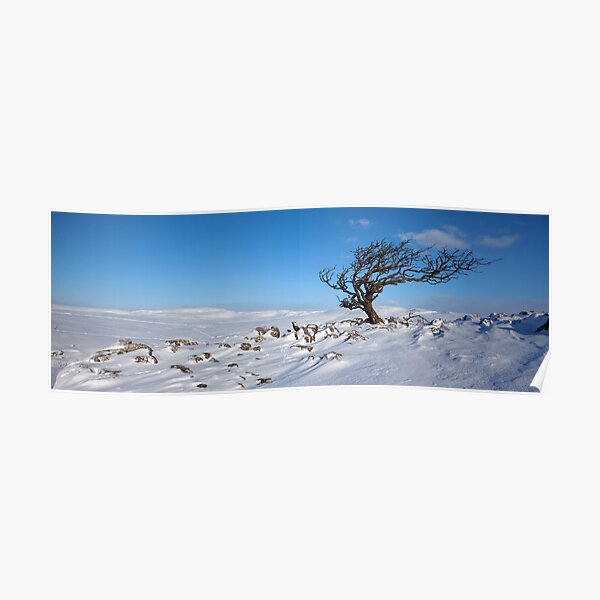 A Yorkshire Winter Wilderness Poster