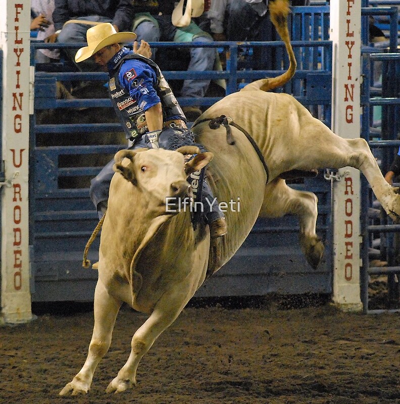 PBR Champion Chris Shivers By ElfinYeti Redbubble pbr-champion-chris-shivers-by-elfinyeti-redbubble