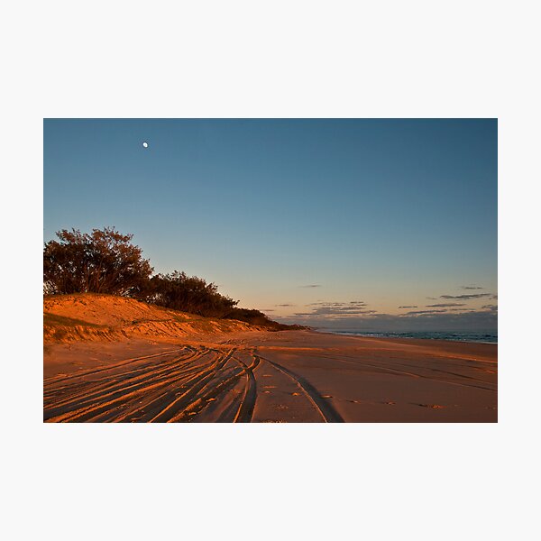 North from Ocean Lake Camp Photographic Print