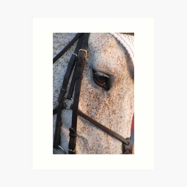 Item preview, Horse head designed and sold by ElfinYeti.