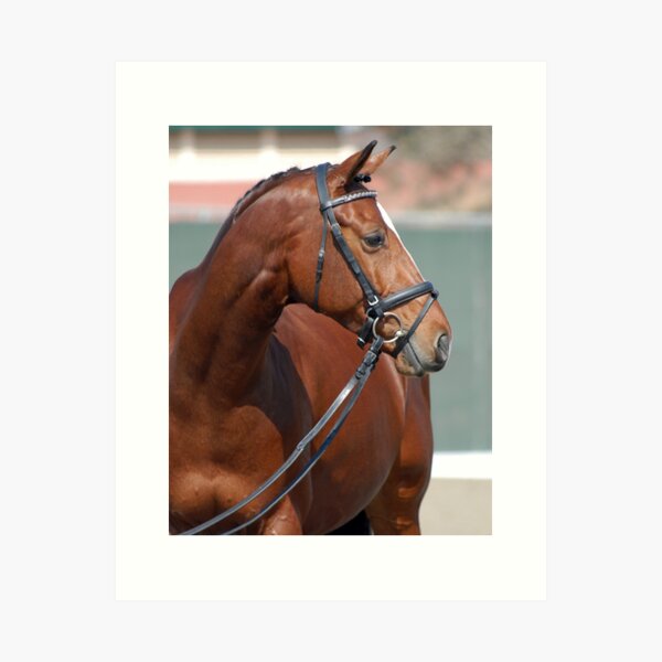 Item preview, Dressage horse designed and sold by ElfinYeti.