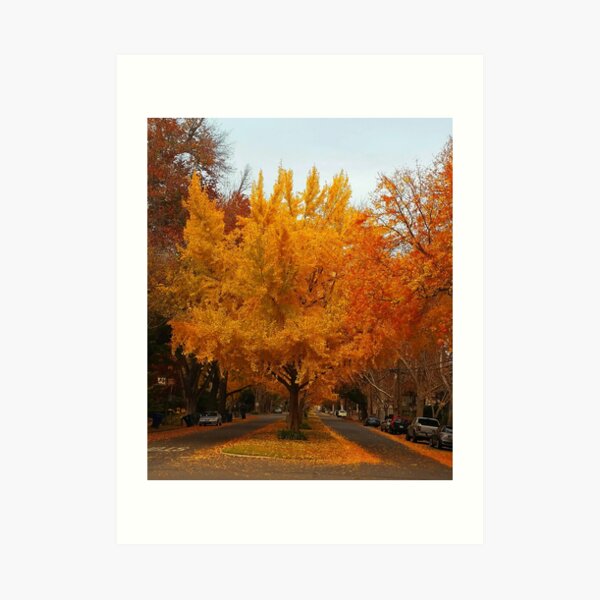 Yellow Season Art Print