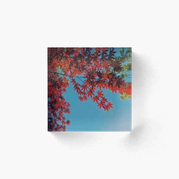 Warm And Cold Acrylic Block