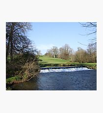 Doneraile Wildlife Park, Cork Photographic Print