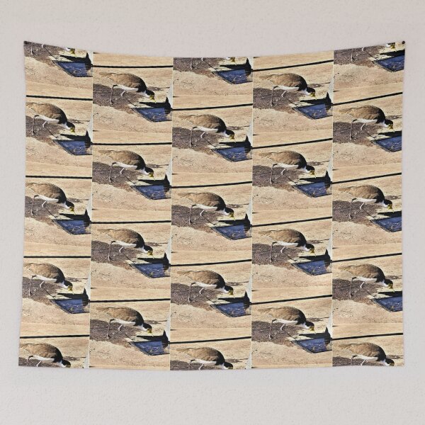 Item preview,  Masked Lapwing   designed and sold by Giro Tavitian.