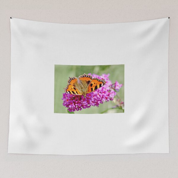 Item preview, Small Tortoisehell on Budlea Bush designed and sold by AnnDixon.
