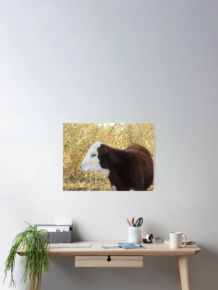 Imagen 2 de 3, Póster con la obra Bull, diseñada y vendida por Ree Reid.
