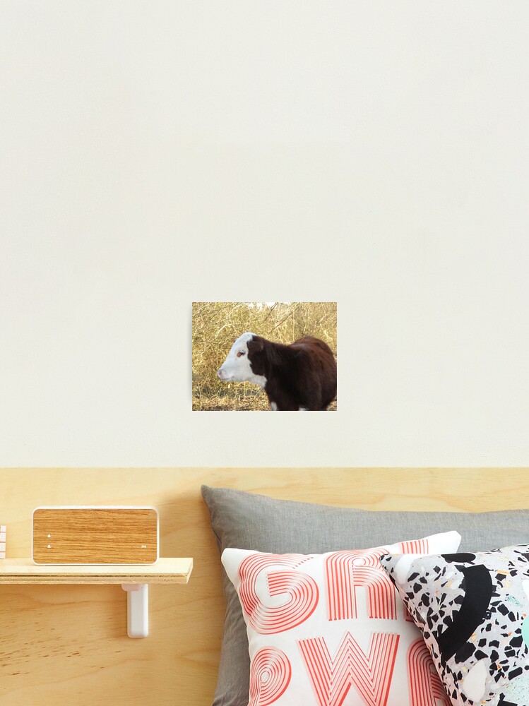 Thumbnail 2 of 3, Photographic Print, Bull designed and sold by Riversedge.