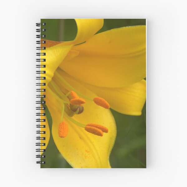 Item preview, Golden glory designed and sold by Heather Thorsen.