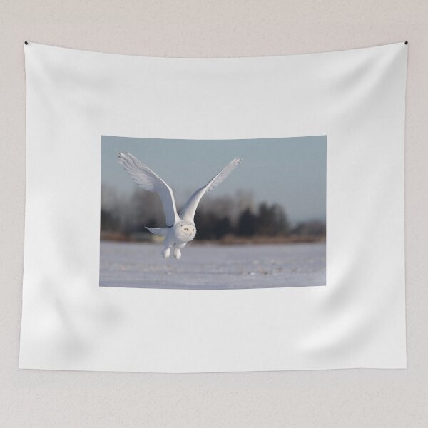 Item preview, Snowy owl in flight designed and sold by James Cumming.