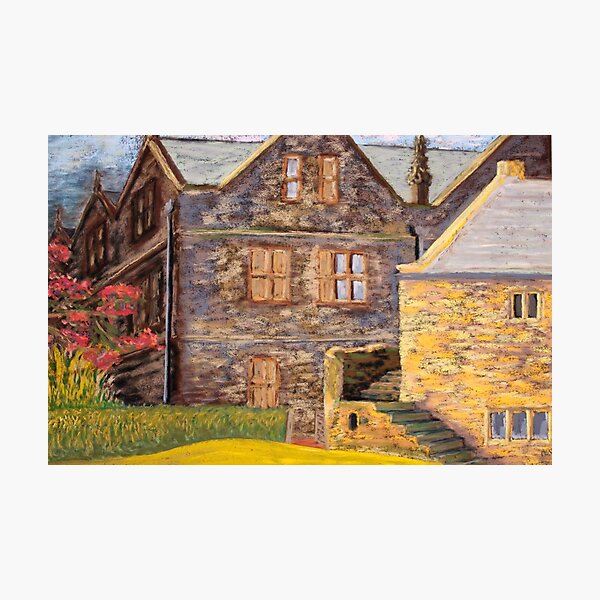 hidden domain Photographic Print