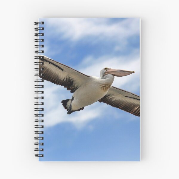 Item preview, Gracefulness.. designed and sold by Peter Doré.