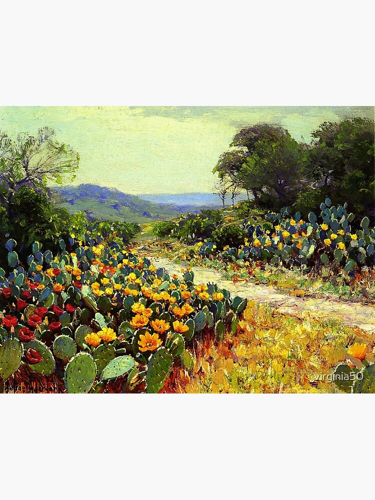 Onderdonk - Cactus in Bloom by virginia50