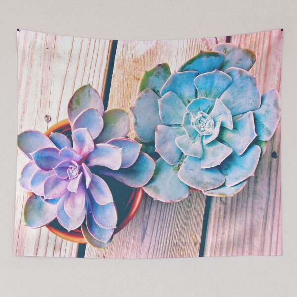 Item preview, Succulents designed and sold by RoxanneG.