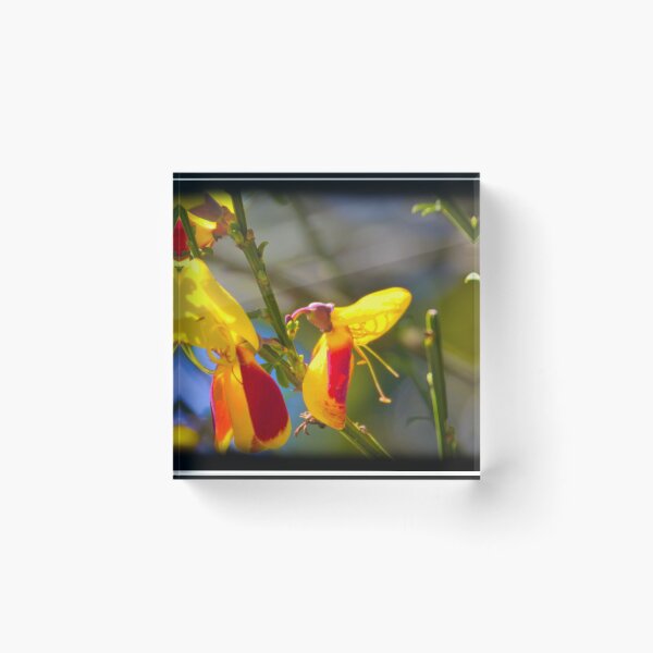 Item preview, Hummingbird Flower designed and sold by alabca.