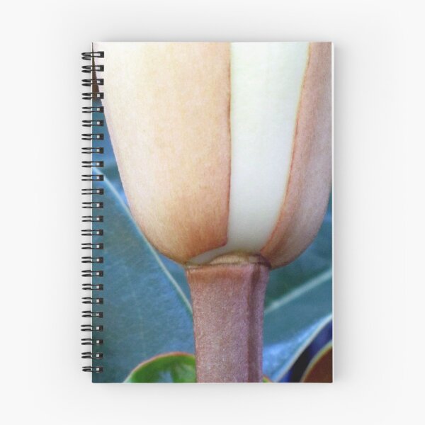 Item preview, Appealing designed and sold by Jean Gregory Evans.